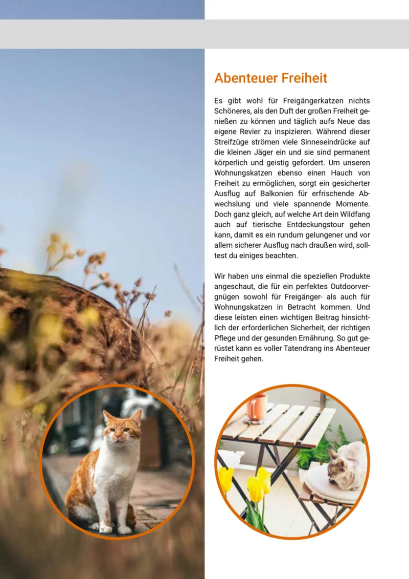 Zookauf Prospekt vom 01.10.2025, Seite 39