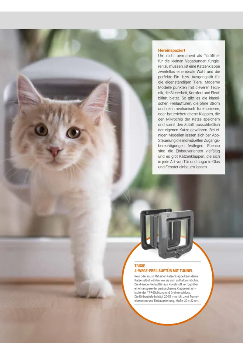 Zookauf Prospekt vom 01.10.2025, Seite 41