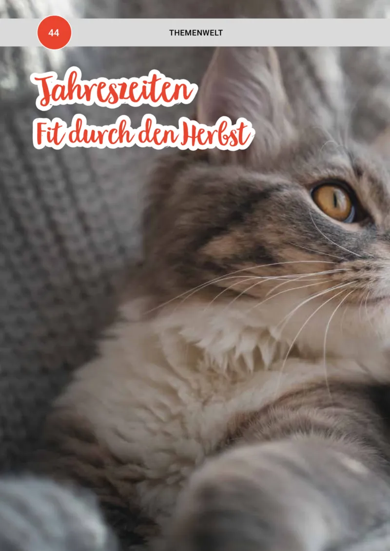 Zookauf Prospekt vom 01.10.2025, Seite 44