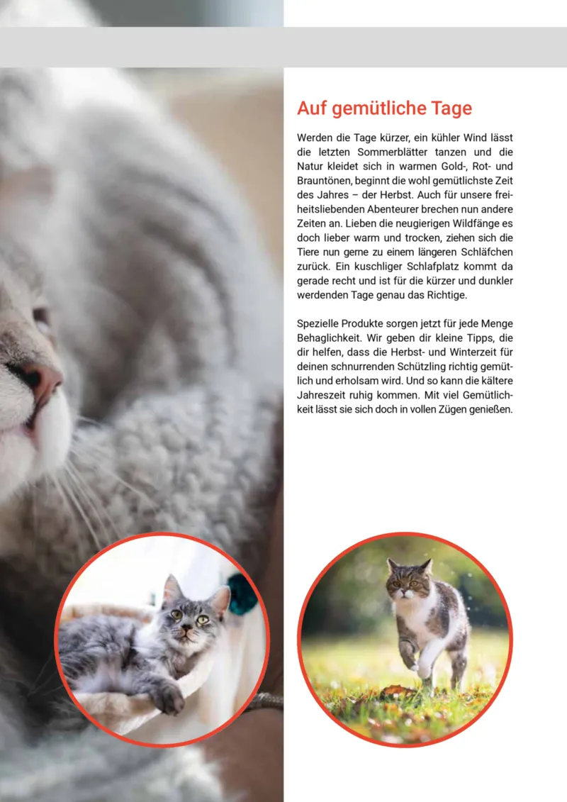 Zookauf Prospekt vom 01.10.2025, Seite 45