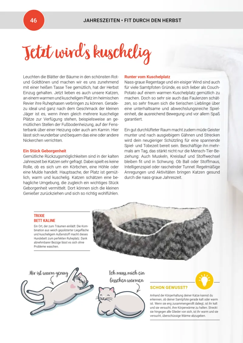 Zookauf Prospekt vom 01.10.2025, Seite 46