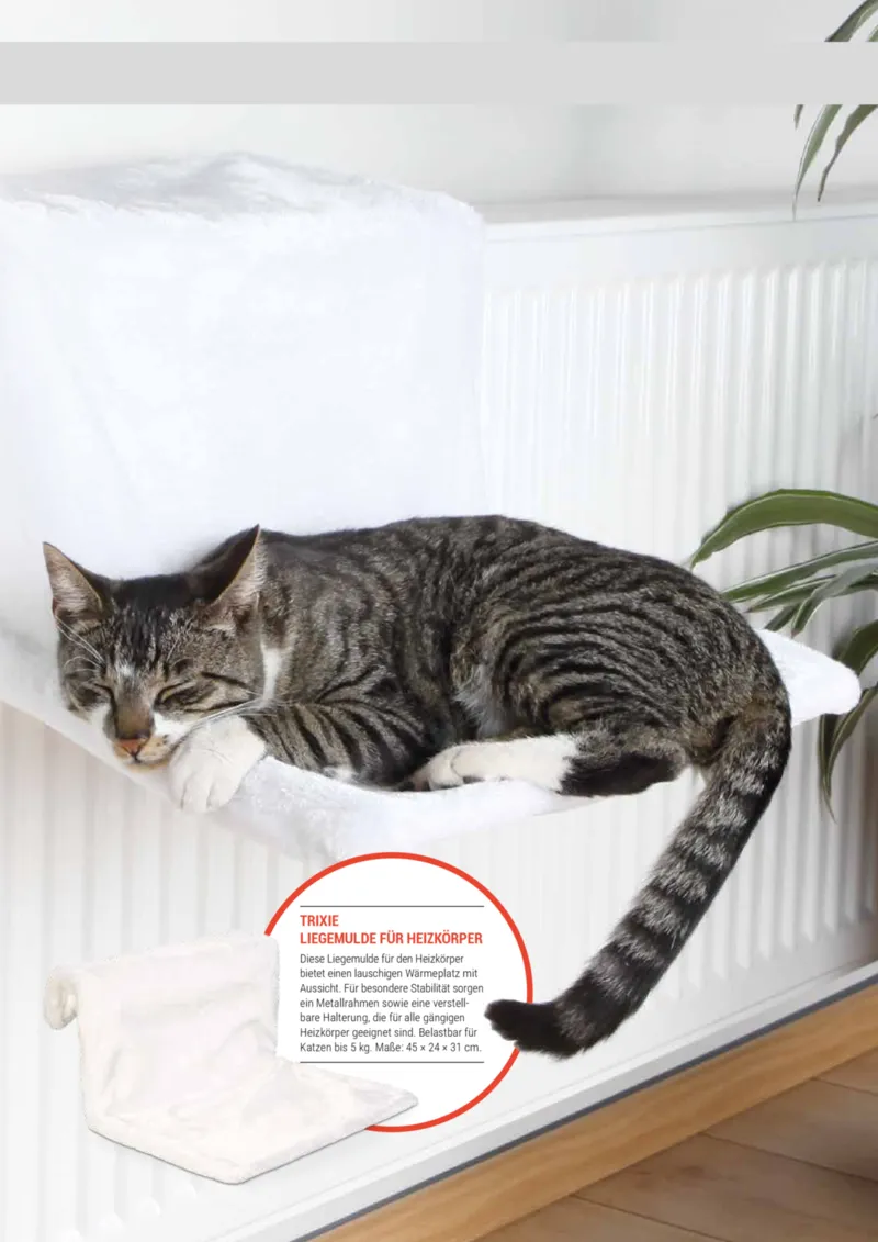 Zookauf Prospekt vom 01.10.2025, Seite 47