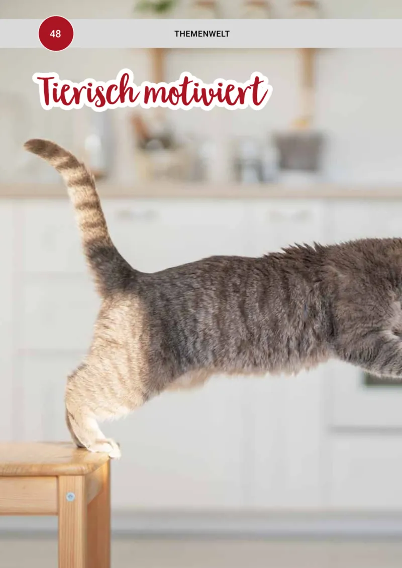 Zookauf Prospekt vom 01.10.2025, Seite 48