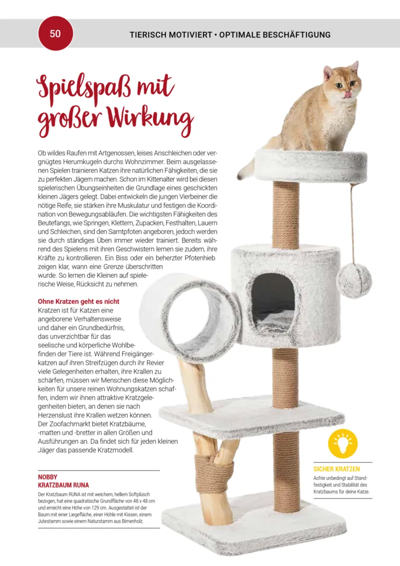 Zookauf Prospekt vom 01.10.2025, Seite 50