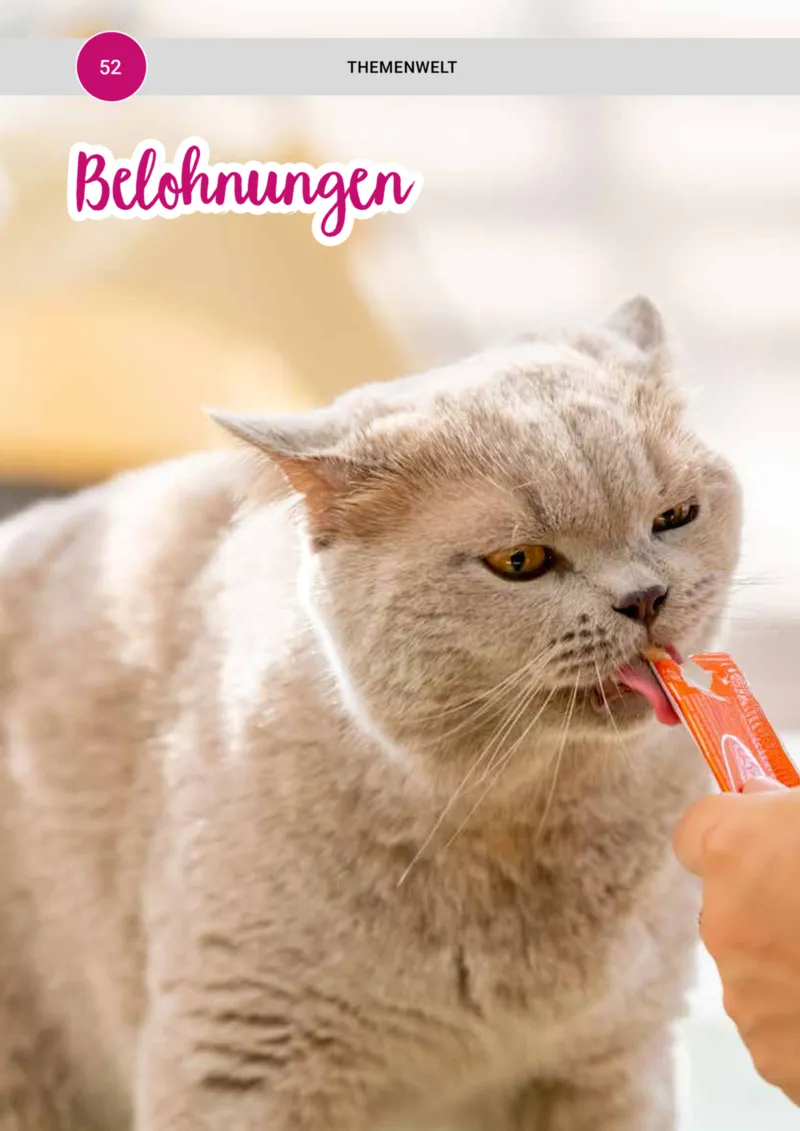 Zookauf Prospekt vom 01.10.2025, Seite 52