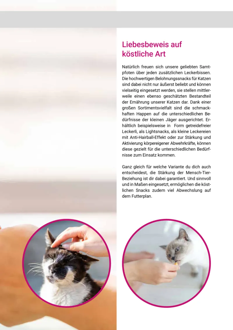 Zookauf Prospekt vom 01.10.2025, Seite 53