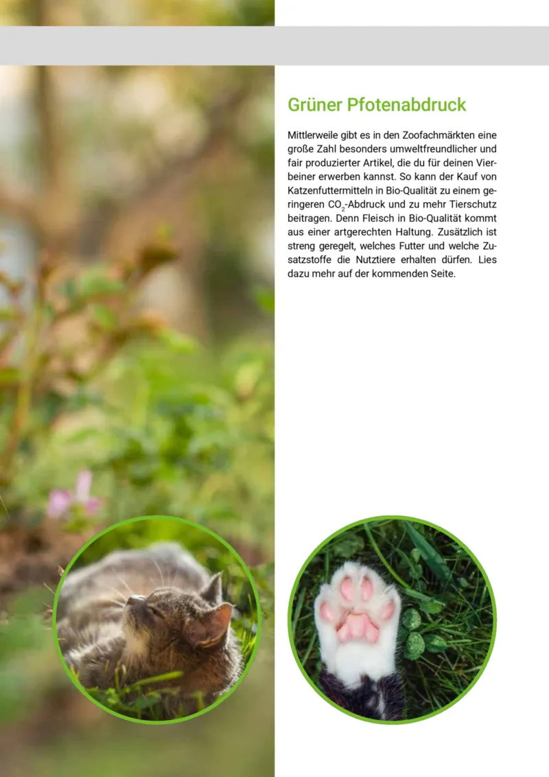 Zookauf Prospekt vom 01.10.2025, Seite 57