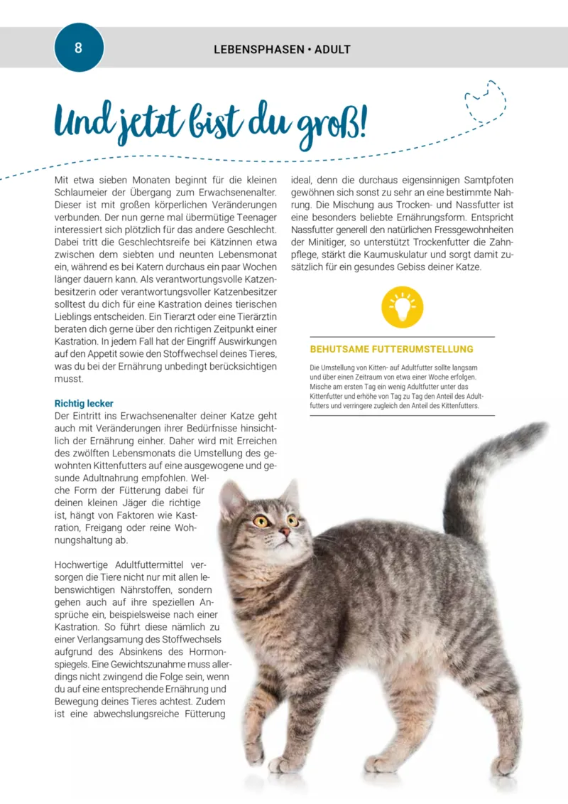 Zookauf Prospekt vom 01.10.2025, Seite 8