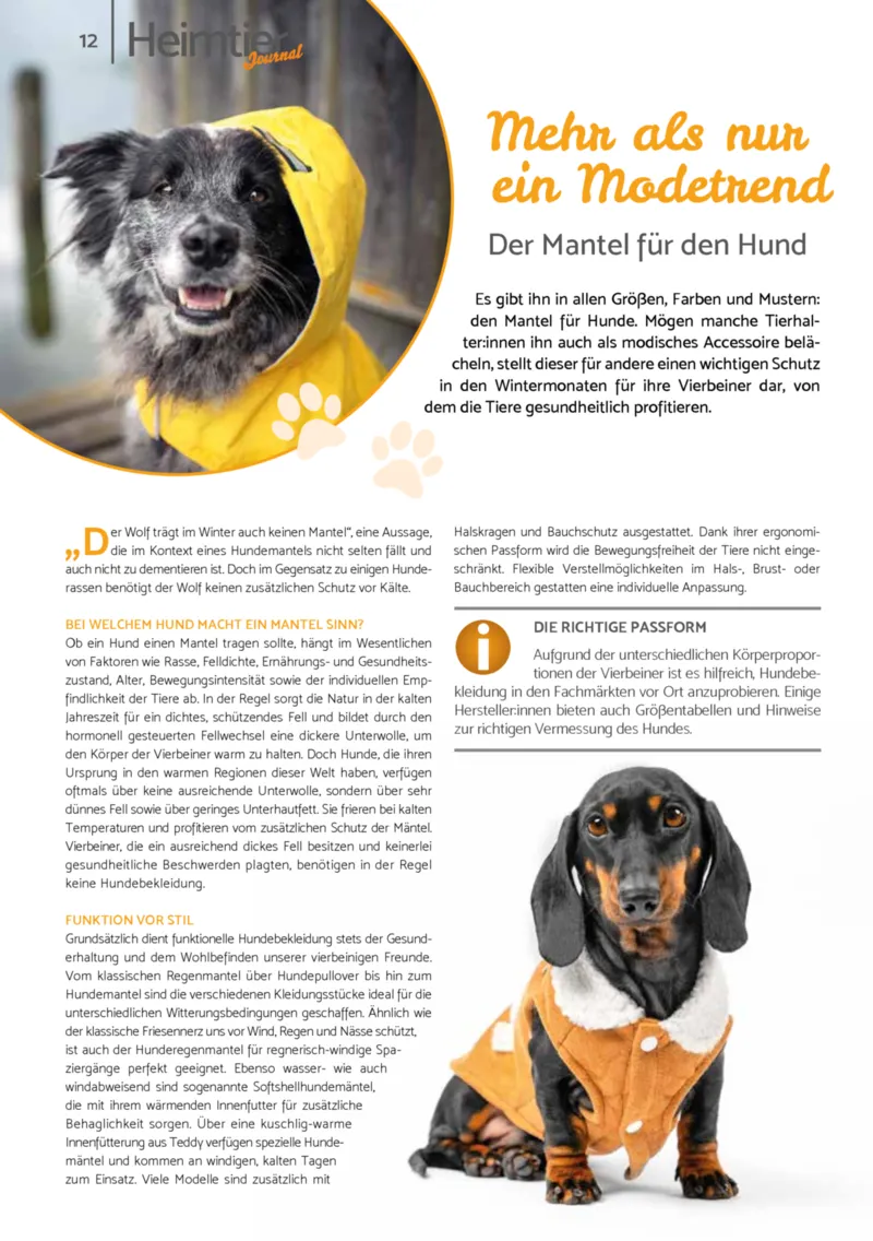 Zookauf Prospekt vom 01.10.2025, Seite 12