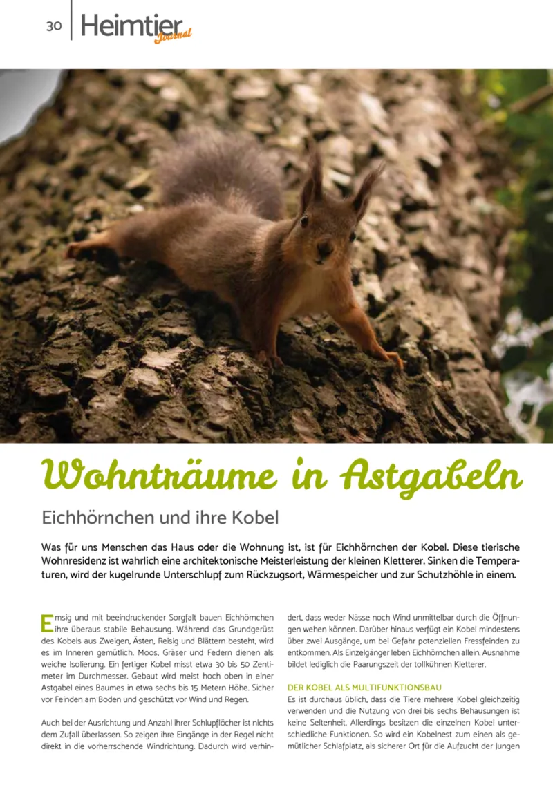 Zookauf Prospekt vom 01.10.2025, Seite 30