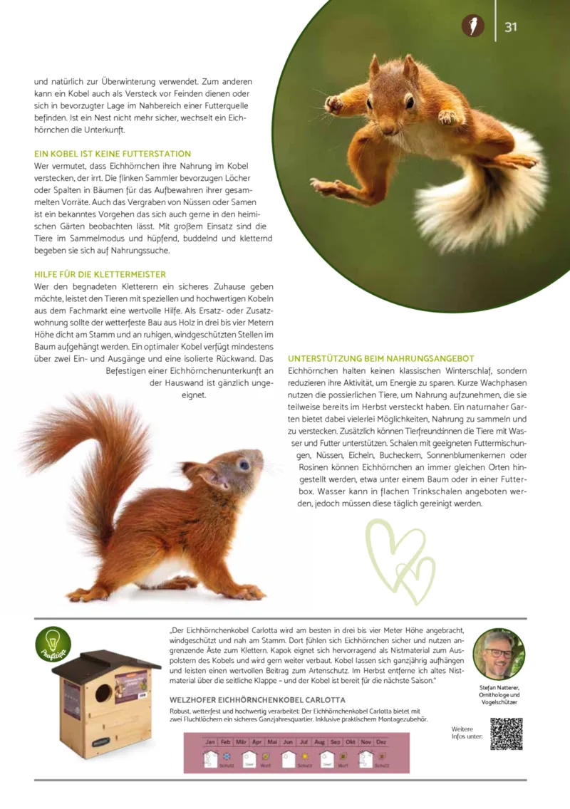 Zookauf Prospekt vom 01.10.2025, Seite 31