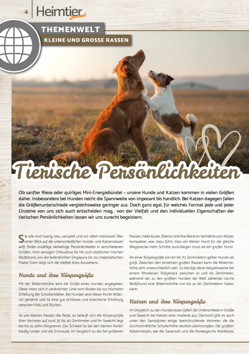 Zookauf Prospekt vom 01.10.2025, Seite 4