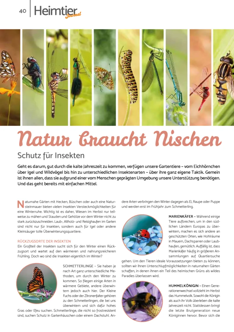 Zookauf Prospekt vom 01.10.2025, Seite 40