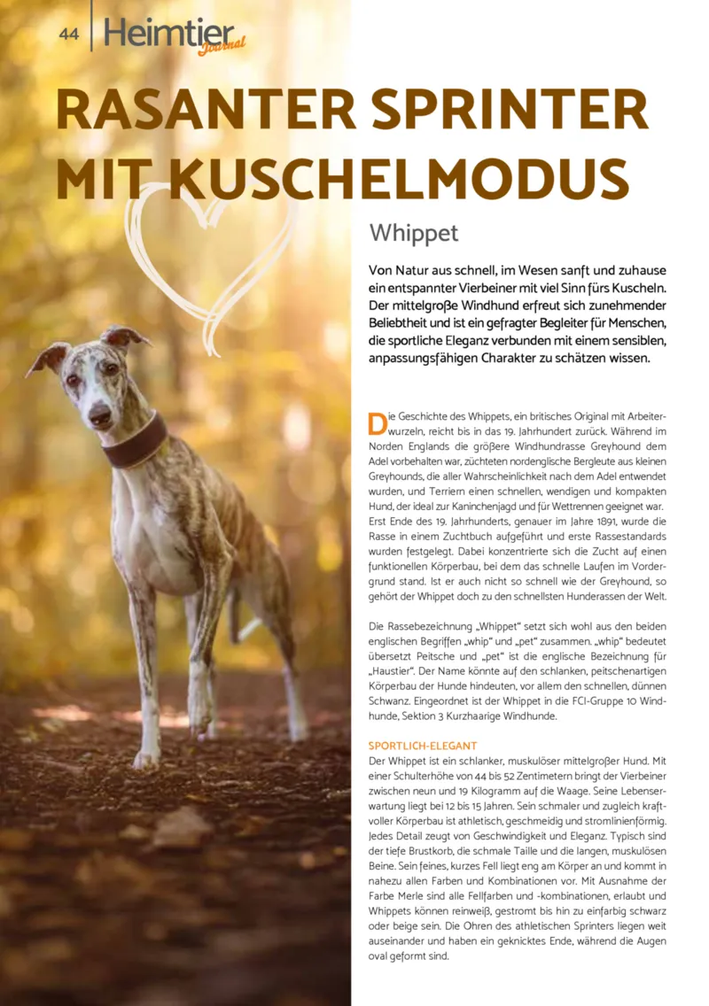 Zookauf Prospekt vom 01.10.2025, Seite 44