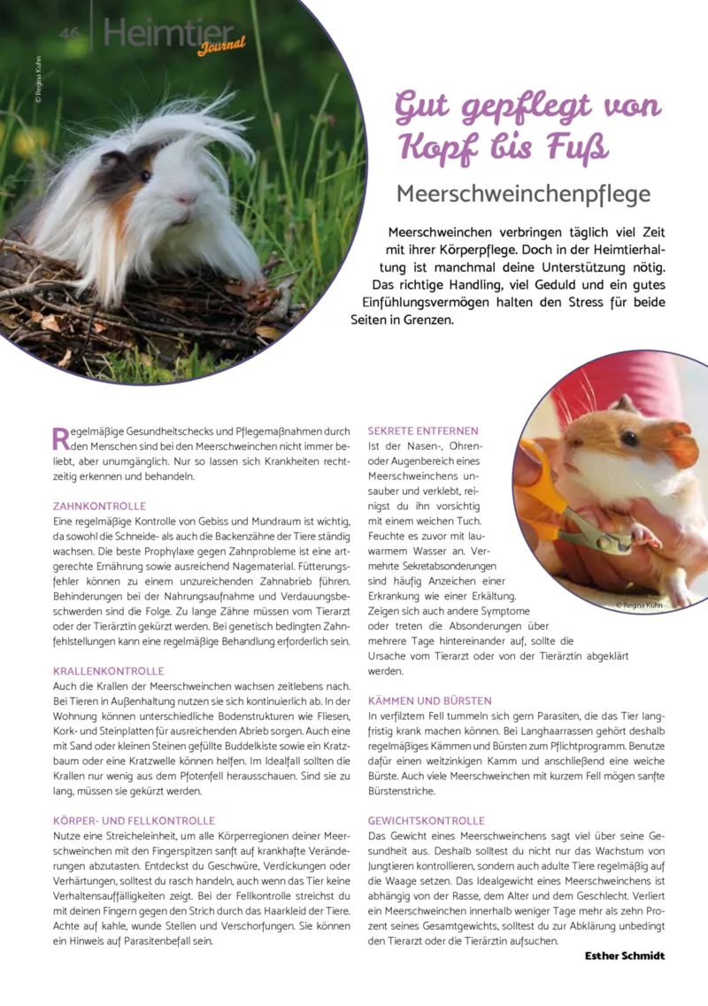 Zookauf Prospekt vom 01.10.2025, Seite 46