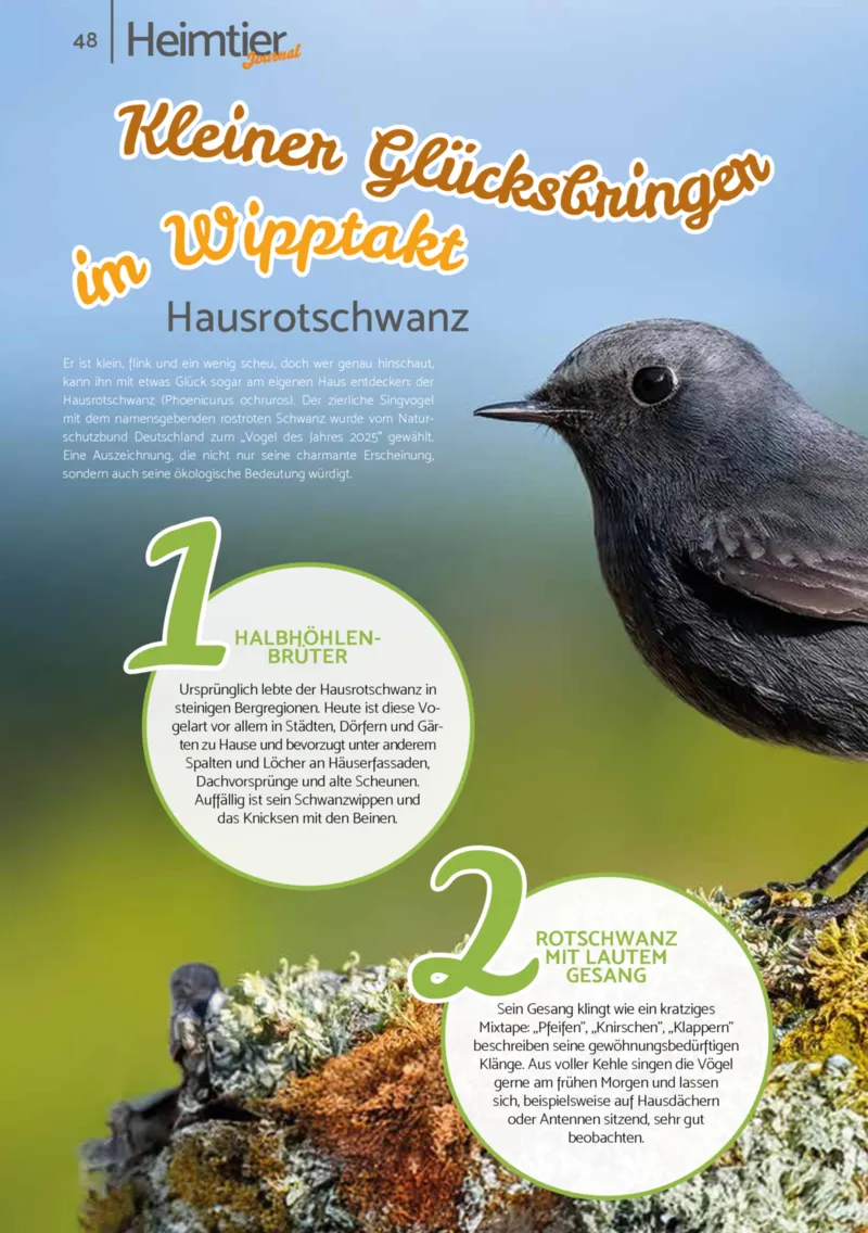 Zookauf Prospekt vom 01.10.2025, Seite 48