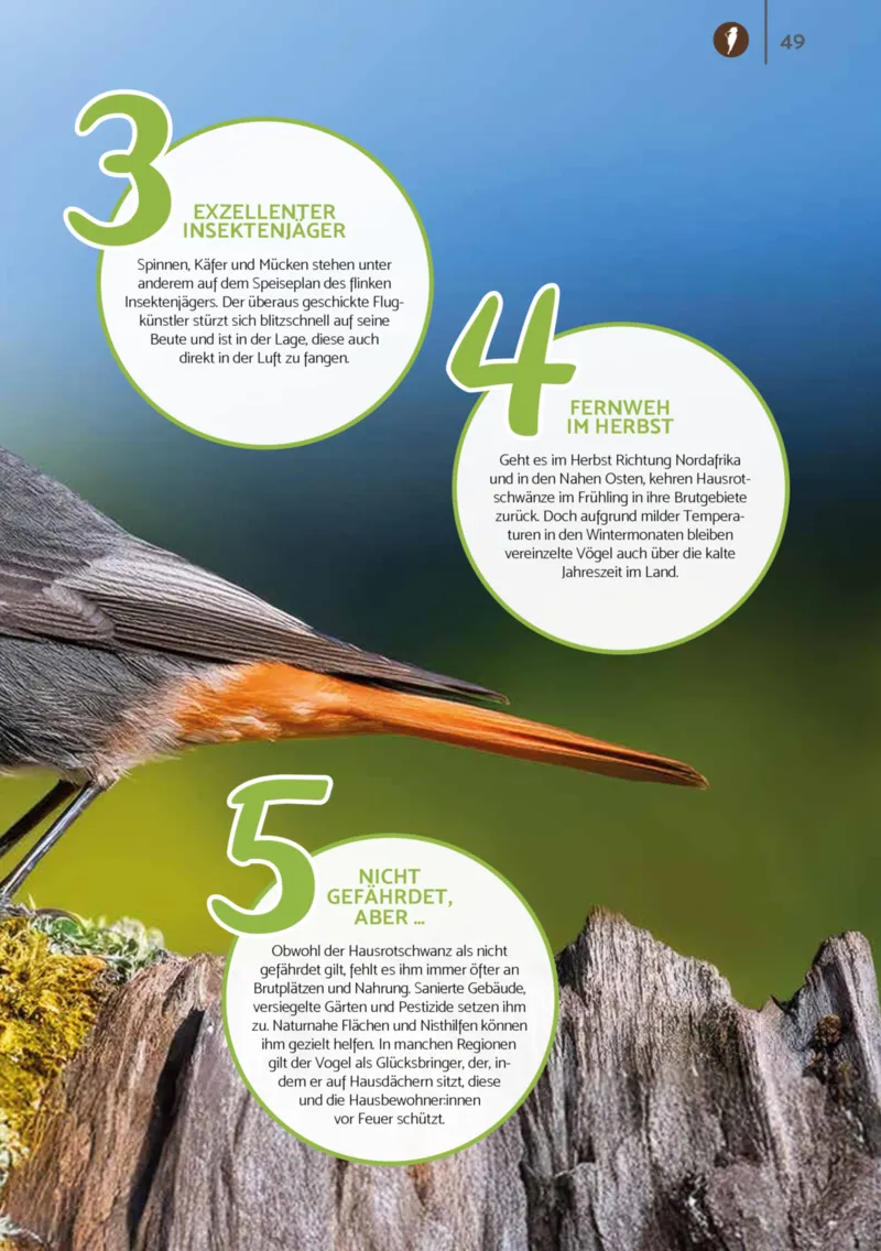 Zookauf Prospekt vom 01.10.2025, Seite 49