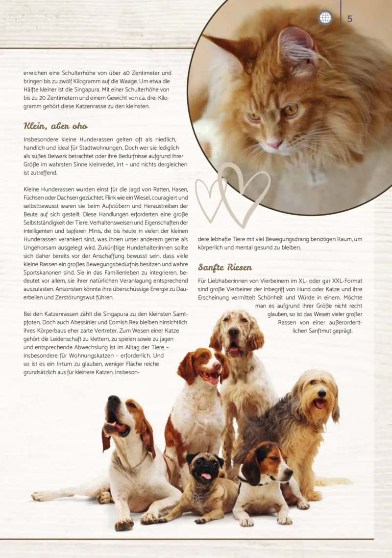 Zookauf Prospekt vom 01.10.2025, Seite 5