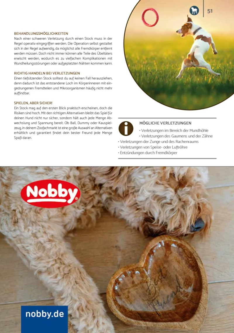 Zookauf Prospekt vom 01.10.2025, Seite 51