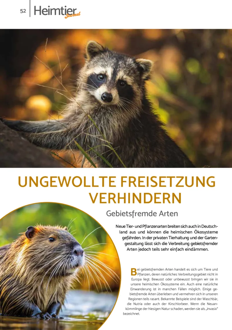 Zookauf Prospekt vom 01.10.2025, Seite 52