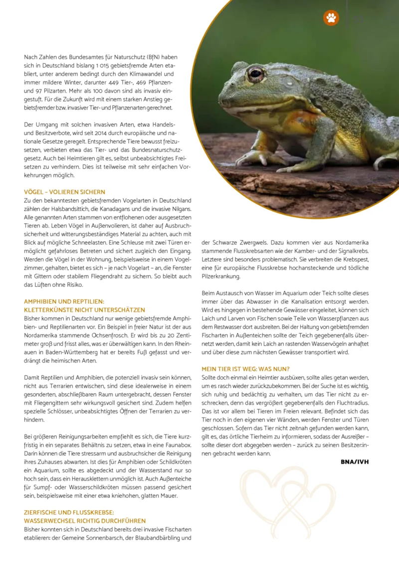 Zookauf Prospekt vom 01.10.2025, Seite 53