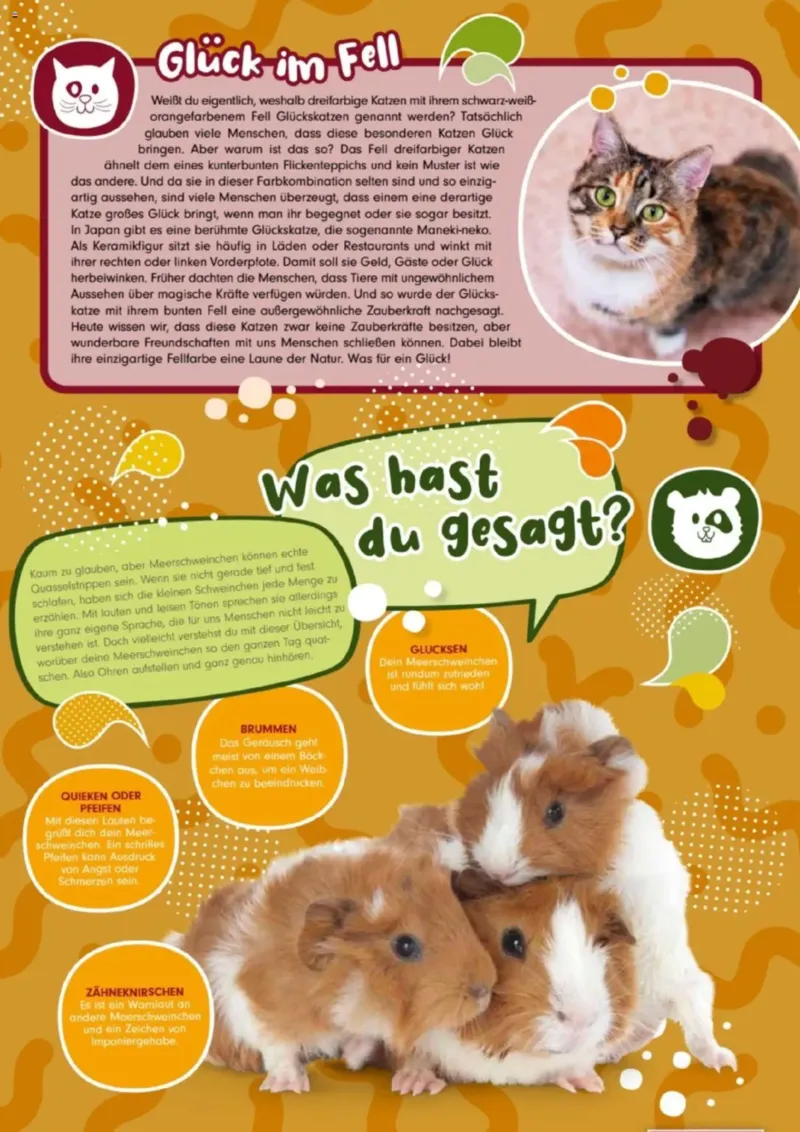Zookauf Prospekt vom 01.10.2025, Seite 2