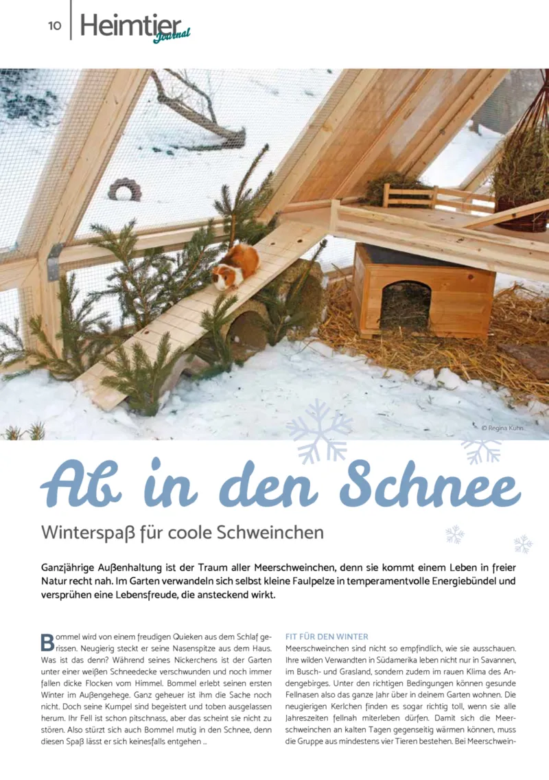 Zookauf Prospekt vom 01.12.2025, Seite 10