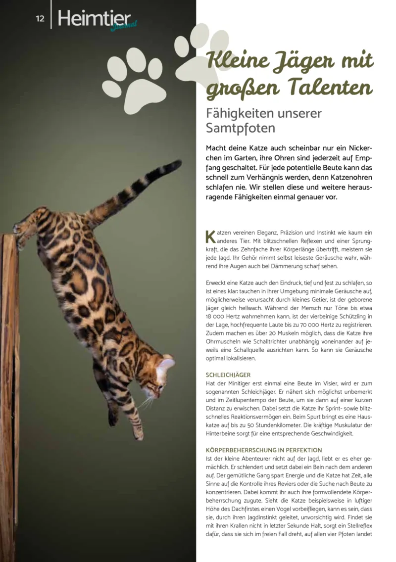 Zookauf Prospekt vom 01.12.2025, Seite 12