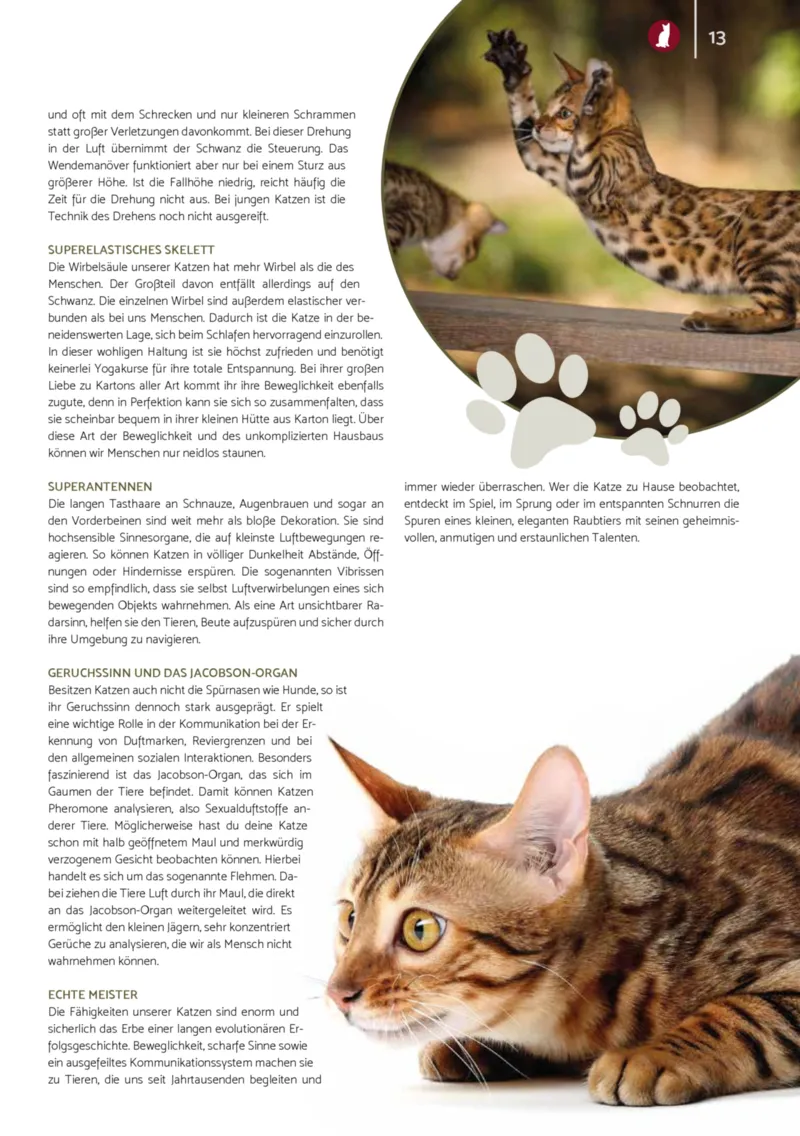 Zookauf Prospekt vom 01.12.2025, Seite 13
