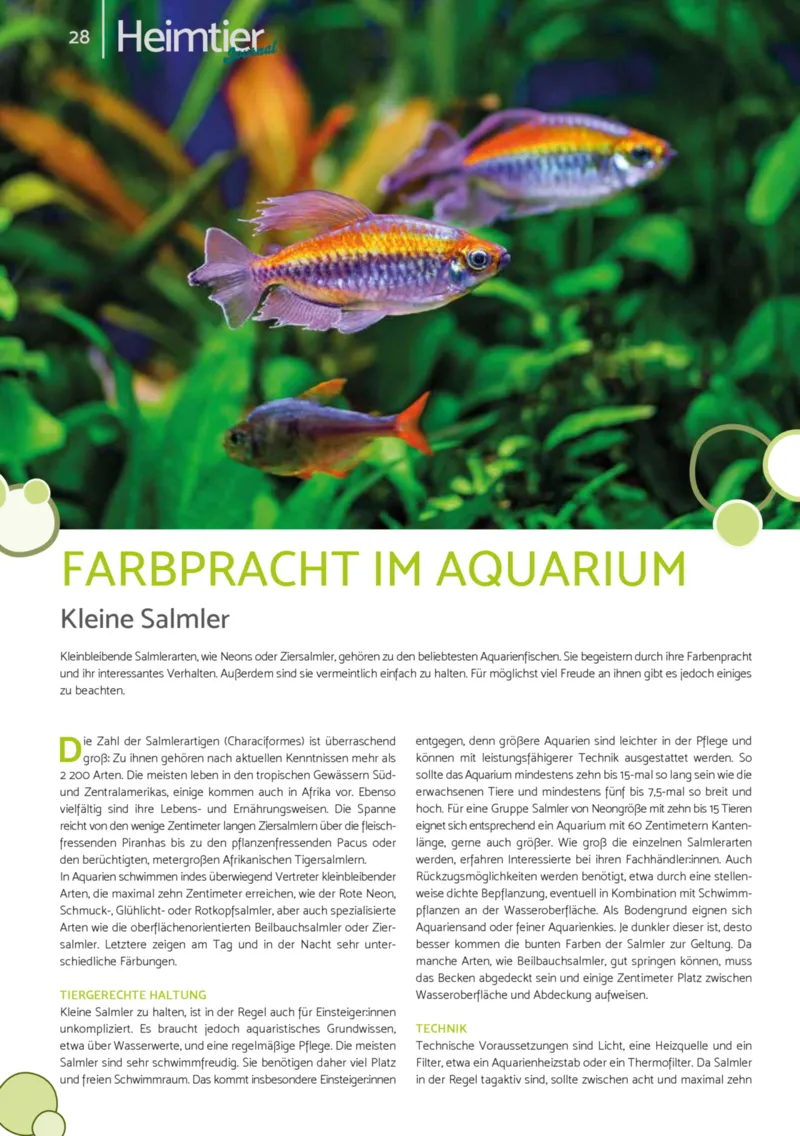 Zookauf Prospekt vom 01.12.2025, Seite 28