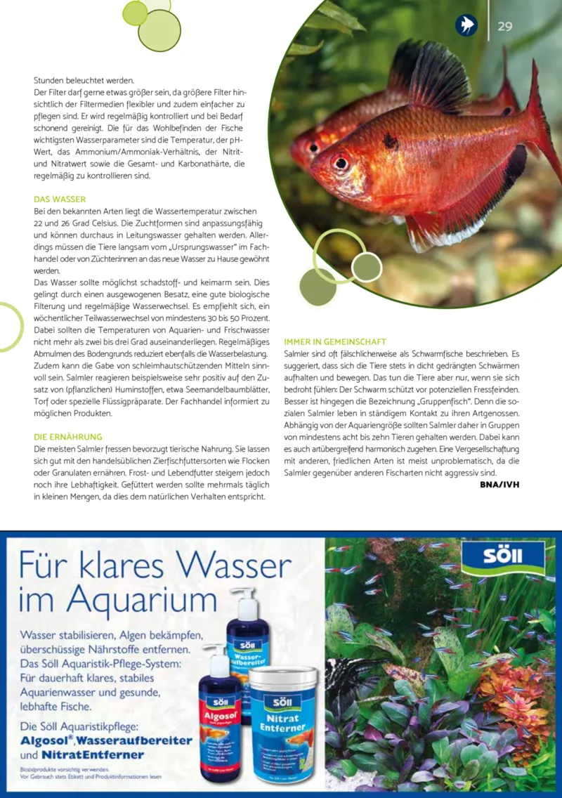 Zookauf Prospekt vom 01.12.2025, Seite 29