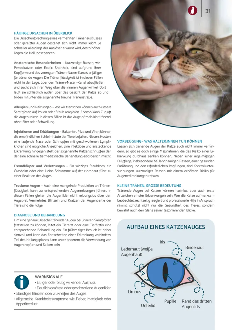 Zookauf Prospekt vom 01.12.2025, Seite 31