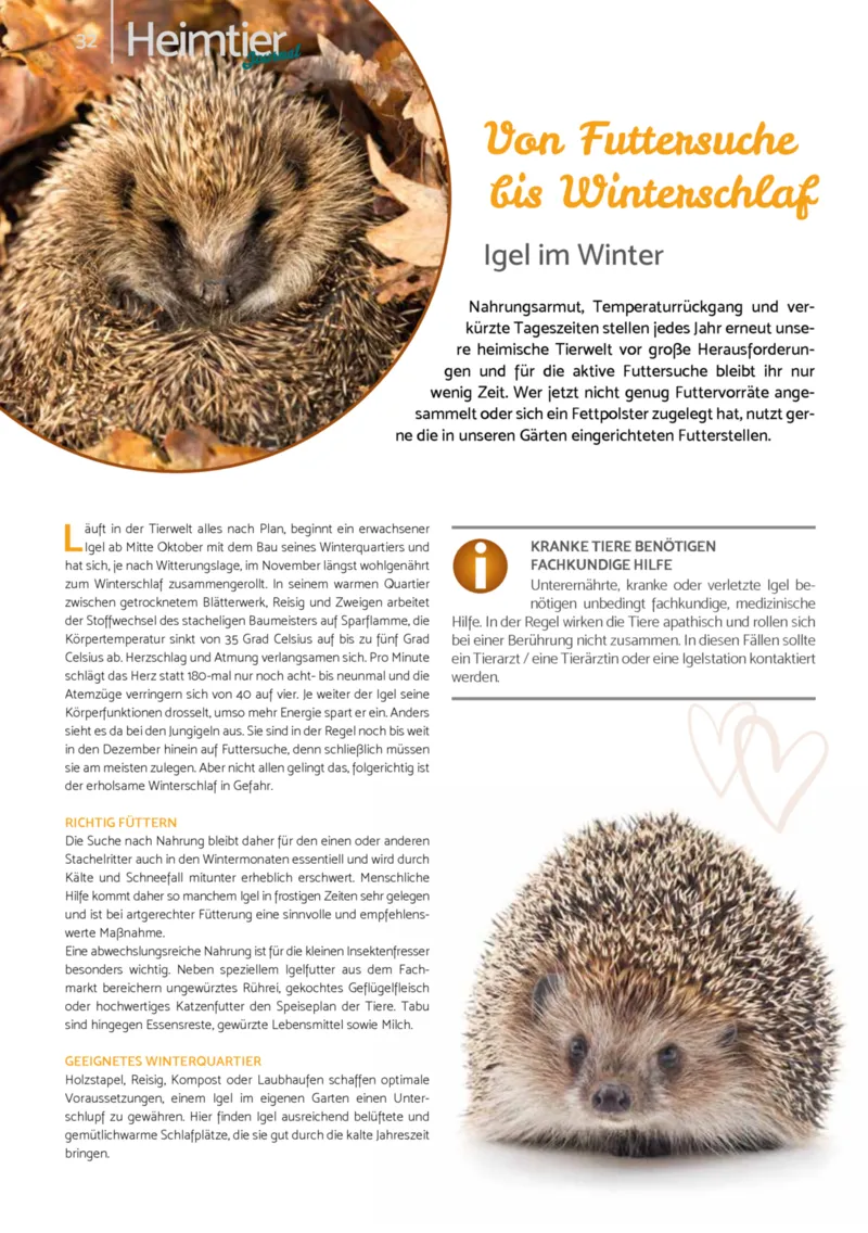 Zookauf Prospekt vom 01.12.2025, Seite 32