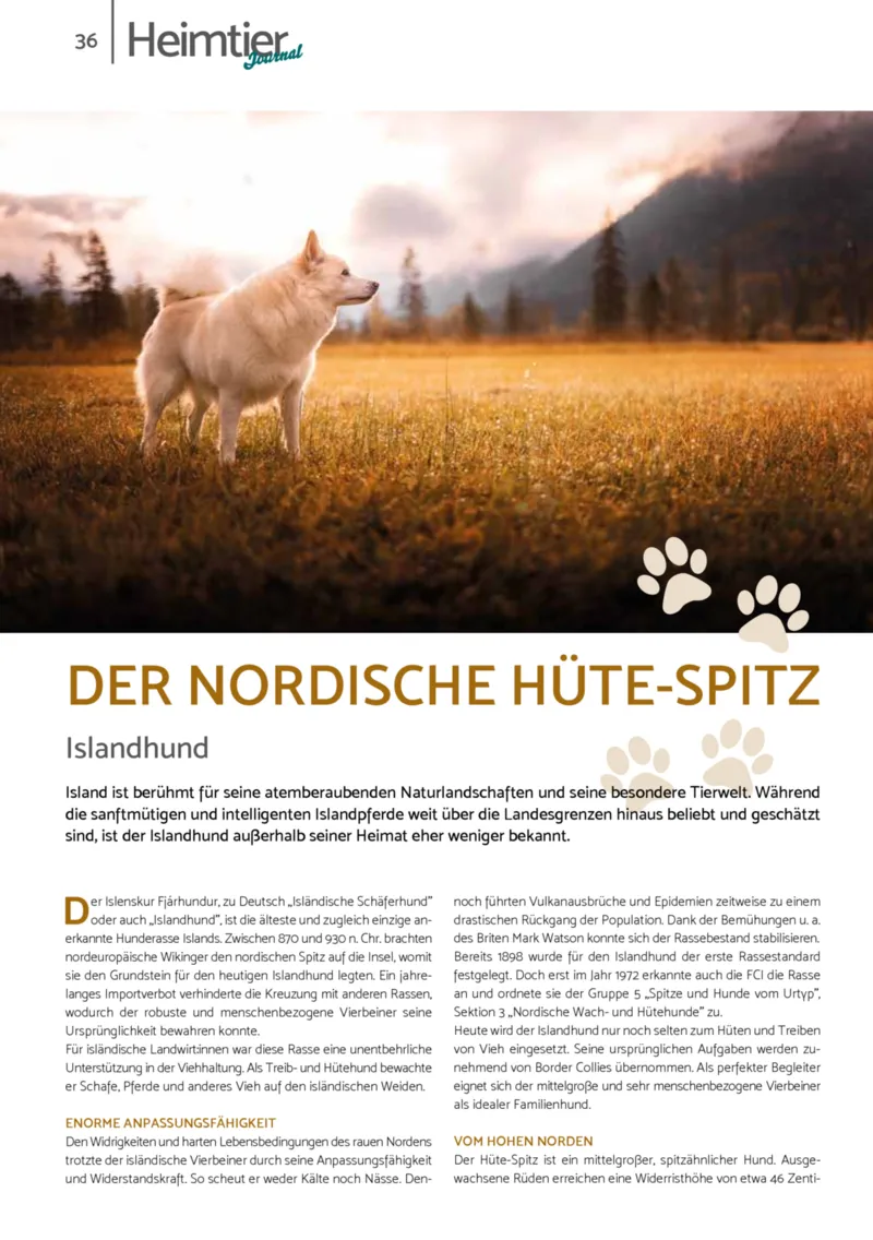 Zookauf Prospekt vom 01.12.2025, Seite 36