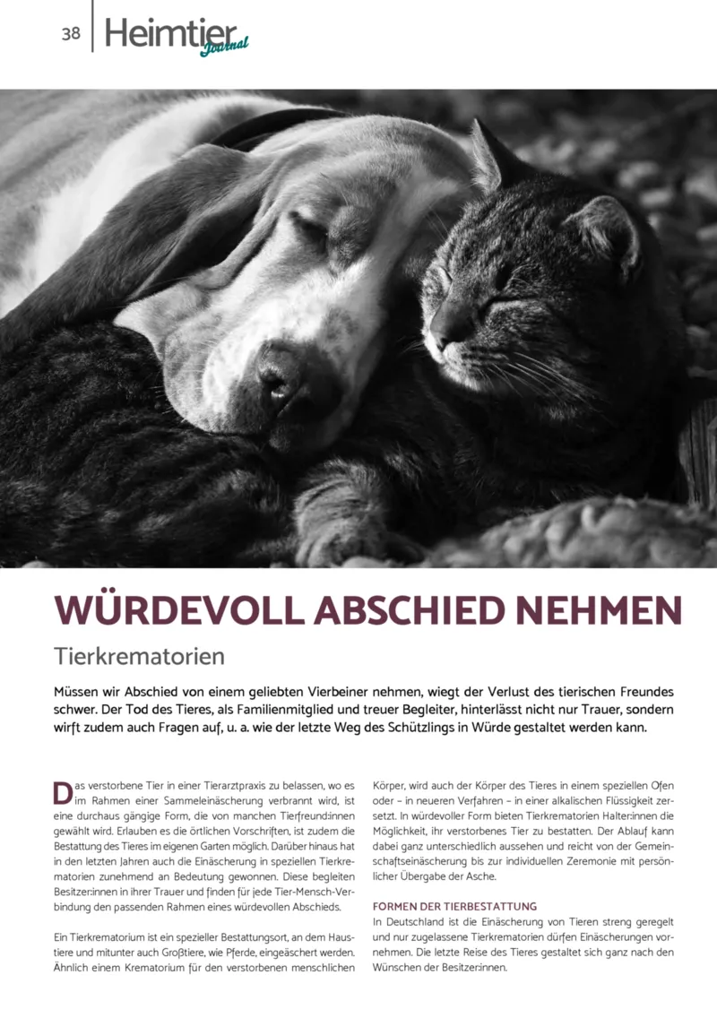 Zookauf Prospekt vom 01.12.2025, Seite 38