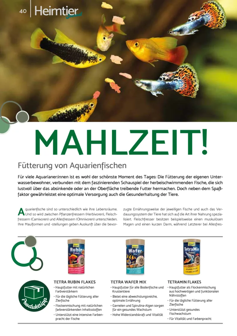 Zookauf Prospekt vom 01.12.2025, Seite 40