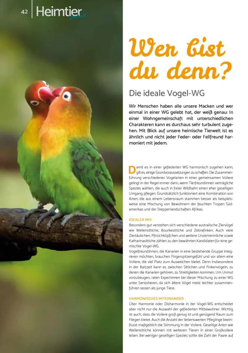 Zookauf Prospekt vom 01.12.2025, Seite 42