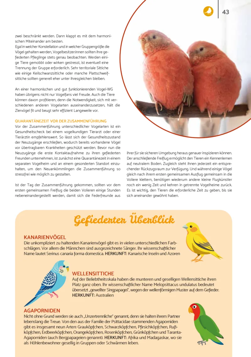 Zookauf Prospekt vom 01.12.2025, Seite 43