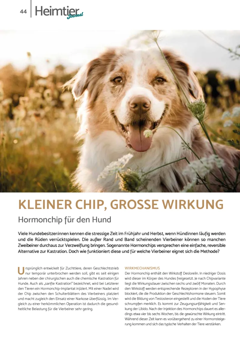 Zookauf Prospekt vom 01.12.2025, Seite 44