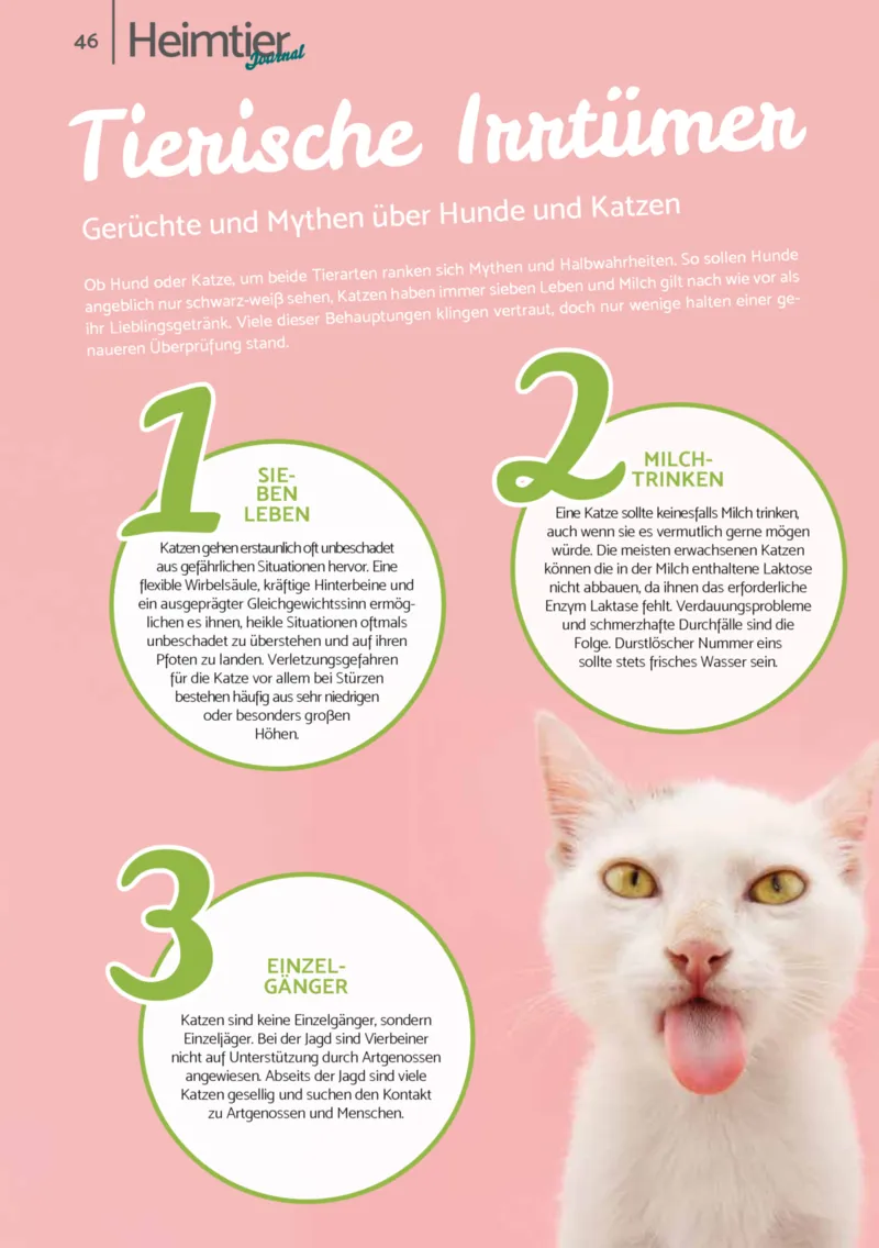 Zookauf Prospekt vom 01.12.2025, Seite 46