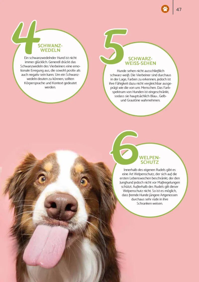 Zookauf Prospekt vom 01.12.2025, Seite 47