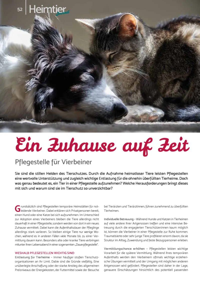 Zookauf Prospekt vom 01.12.2025, Seite 52