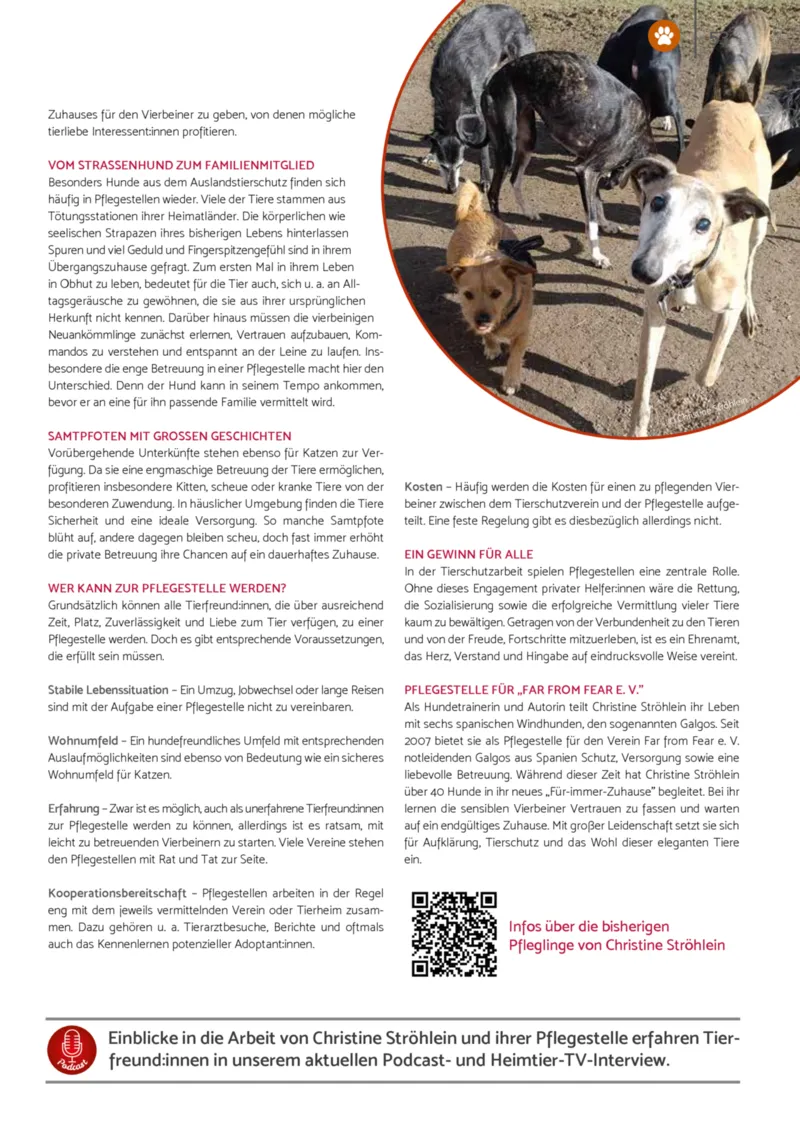 Zookauf Prospekt vom 01.12.2025, Seite 53