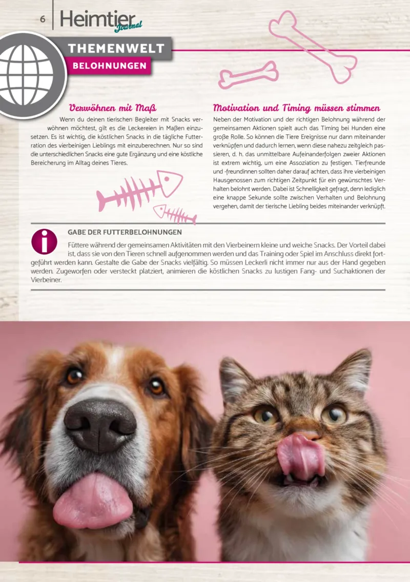 Zookauf Prospekt vom 01.12.2025, Seite 6