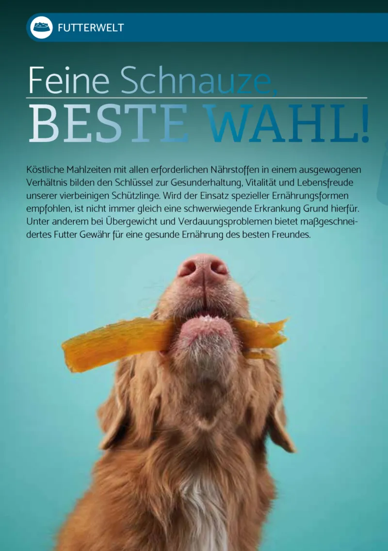 Zookauf Prospekt vom 01.12.2025, Seite 10