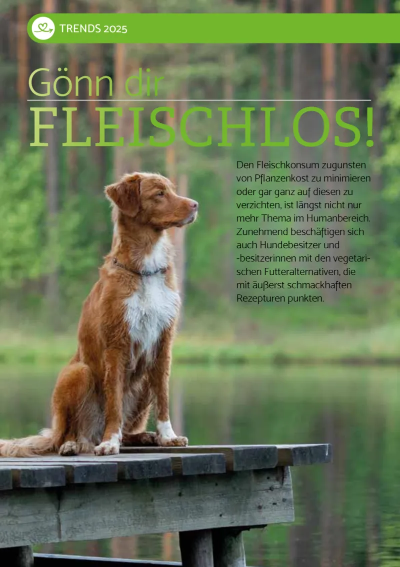 Zookauf Prospekt vom 01.12.2025, Seite 12