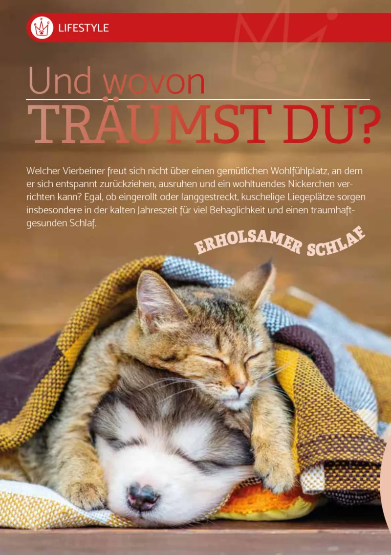 Zookauf Prospekt vom 01.12.2025, Seite 4