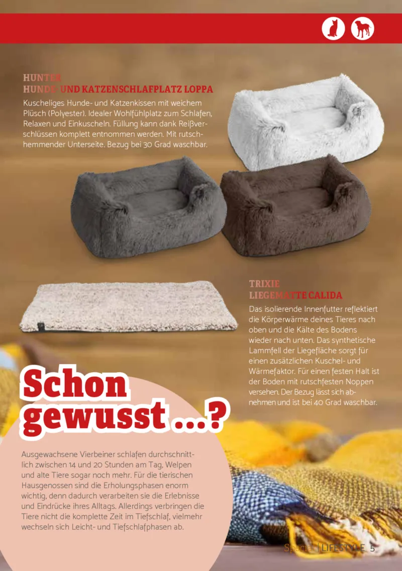 Zookauf Prospekt vom 01.12.2025, Seite 5