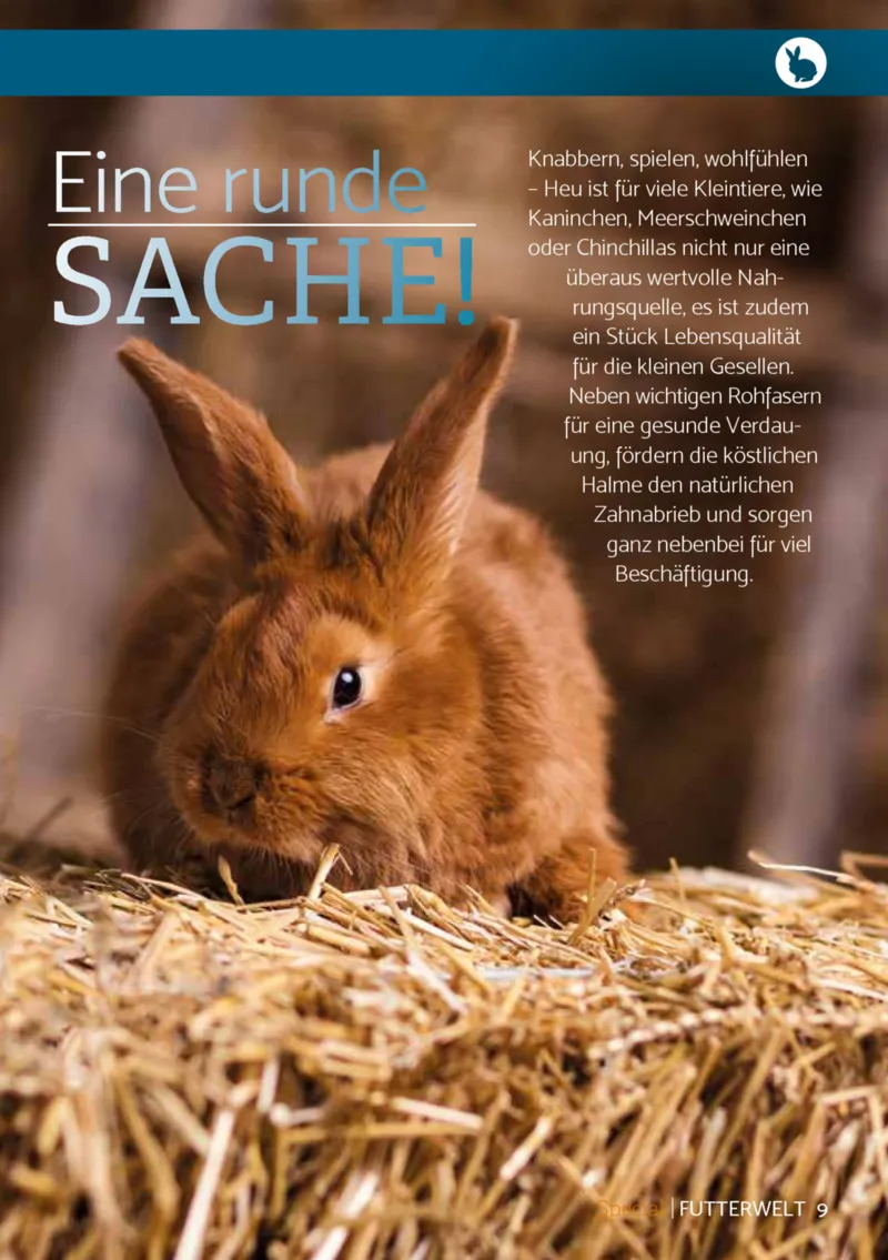 Zookauf Prospekt vom 01.12.2025, Seite 9