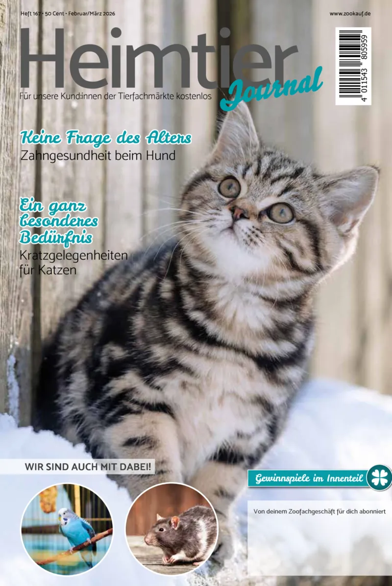 Zookauf Prospekt vom 01.02.2026, Seite 1